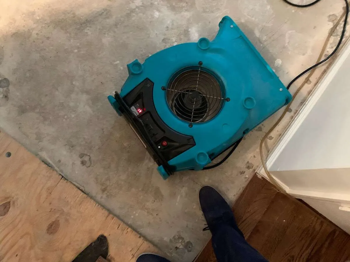 Air mover drying subfloor during Leak Detection & Repair in Treasure Island